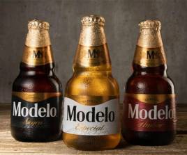 Modelo